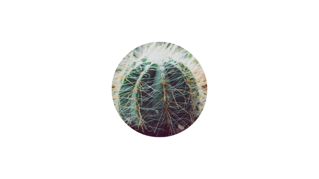 Akupunktur Colitis Ulcerosa Morbus Crohn